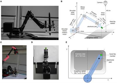 Hierarchical Control of Visually-Guided Movements in a 3D-Printed Robot Arm